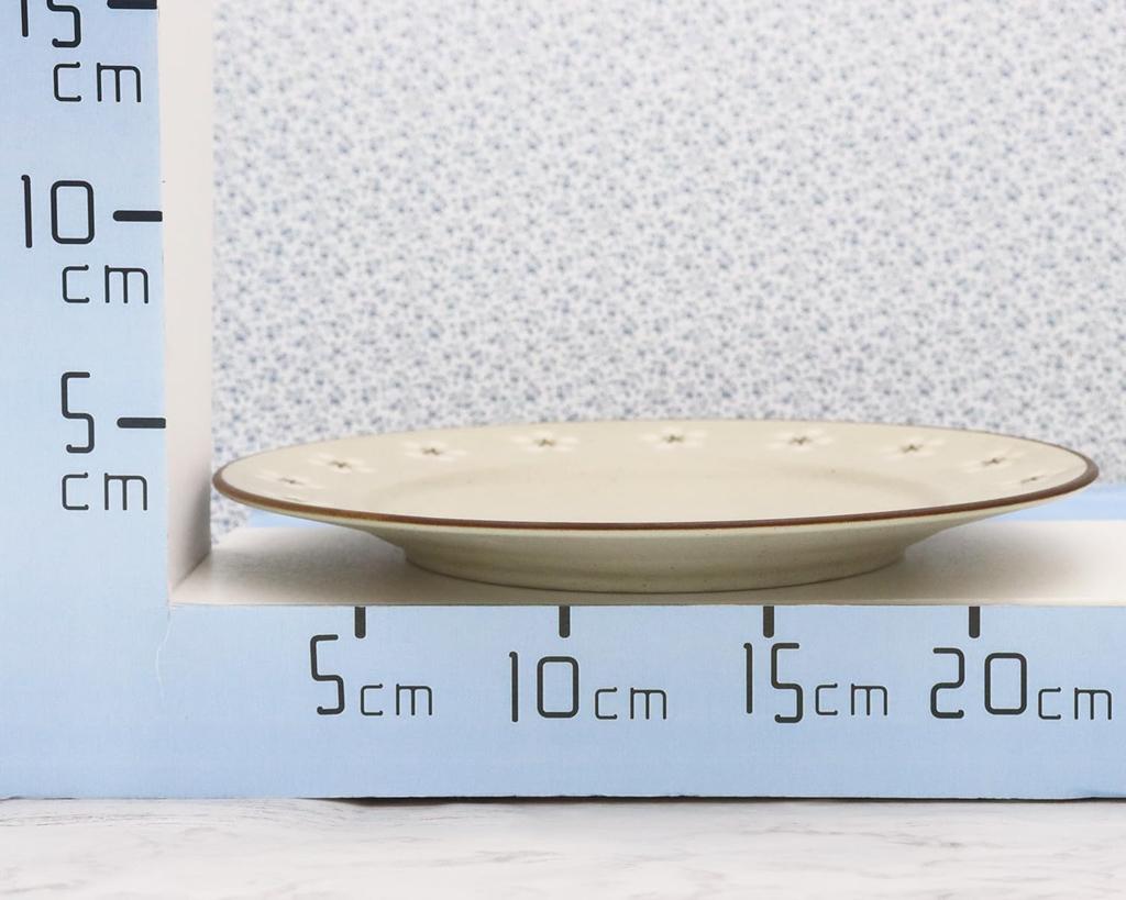 Castle Enterprises [Set of 5 24cm Meat Plates] Mino Ware, Kamakura Old House Cafe Series