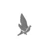 Stainless Steel Peace Dove Animal Brooches for Women Men Creative Classic Waterproof Clothing Brooches Party Jewelry Accessories
