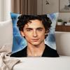 Actor Timothee Chalamet Pillow Case Suitable For Bedrooms Living Rooms Cars Home Decoration