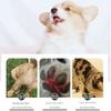 40pcs Waterproof Dog Shoe Covers Non-slip Walking Dog Socks New Dog Paw Cover Bag  for Outdoor