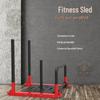 Triumphant Lion Gym Sled