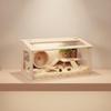 Ventilated Small Pet Habitat with Natural Wood Construction and Viewing Panels