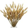120Pcs Bunny Tails Dried Flowers Natural Dry Pampas Eternal Rabbit Tails Grass for Vase Arrangement Wedding Home Hotel Decoration