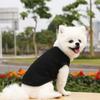 Teddy Than the Bear Cat Small Medium and Large Dog Dog Spring and Summer New Pet Clothes Vest Dog Supplies Cat Bipod