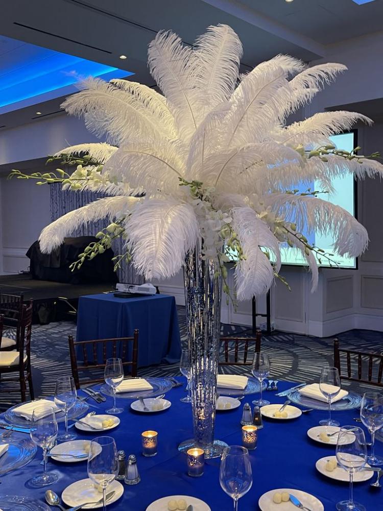 15-60Cm Natural Ostrich Feathers | High-Quality For Diy, Wedding, Party, Stage, Costume & Home Decor | Various Colors Available