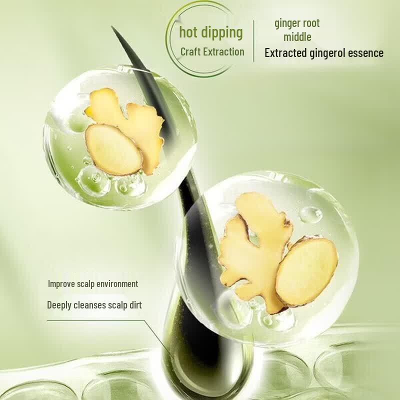 Schwarzkopf Ginger Essence Oil Control Shampoo