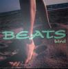 12-дюймовая пластинка BIRD Beats AIJT5028 SMEJ ASSOCIATE 1999 Япония Японская клубная музыка Б/у