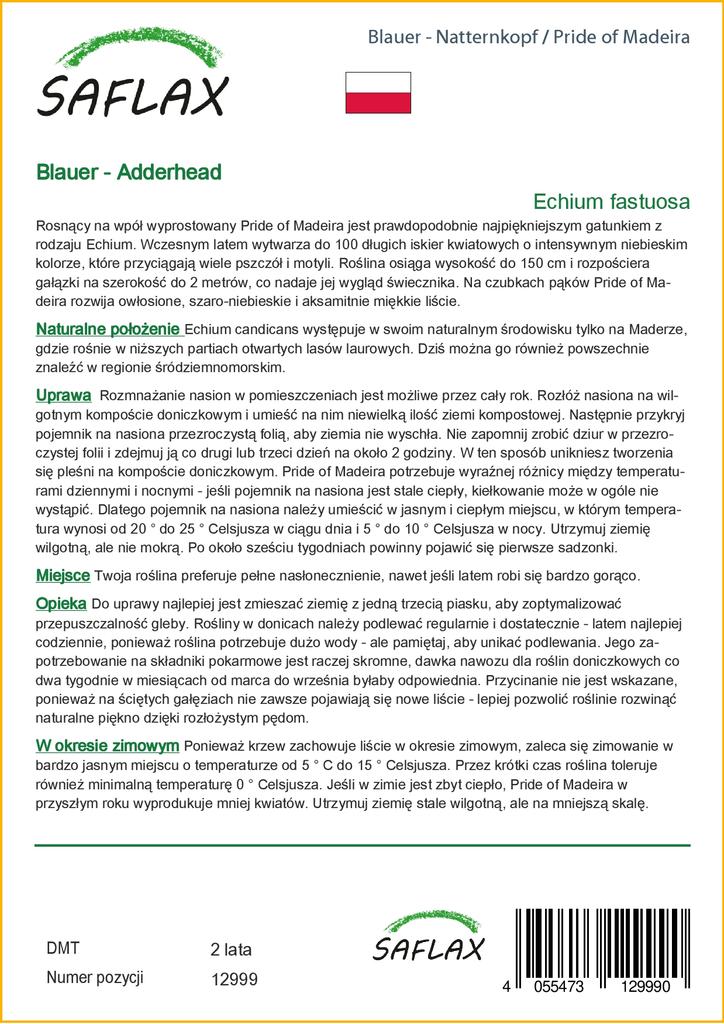 SAFLAX Гордость Мадейры - 100 семян - Echium fastuosa