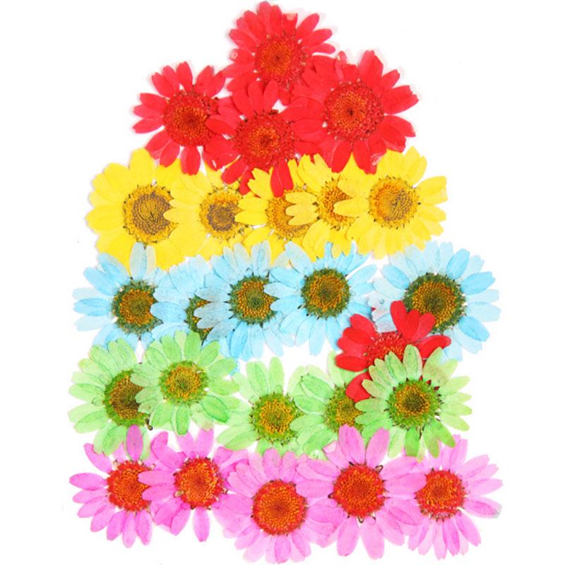 Популярные маленькие 25 шт./пакет, высокое качество, украшение для дома, сушеные цветы, прессованные цветы, консервированные цветы, сделай сам, мини-цветы ручной работы