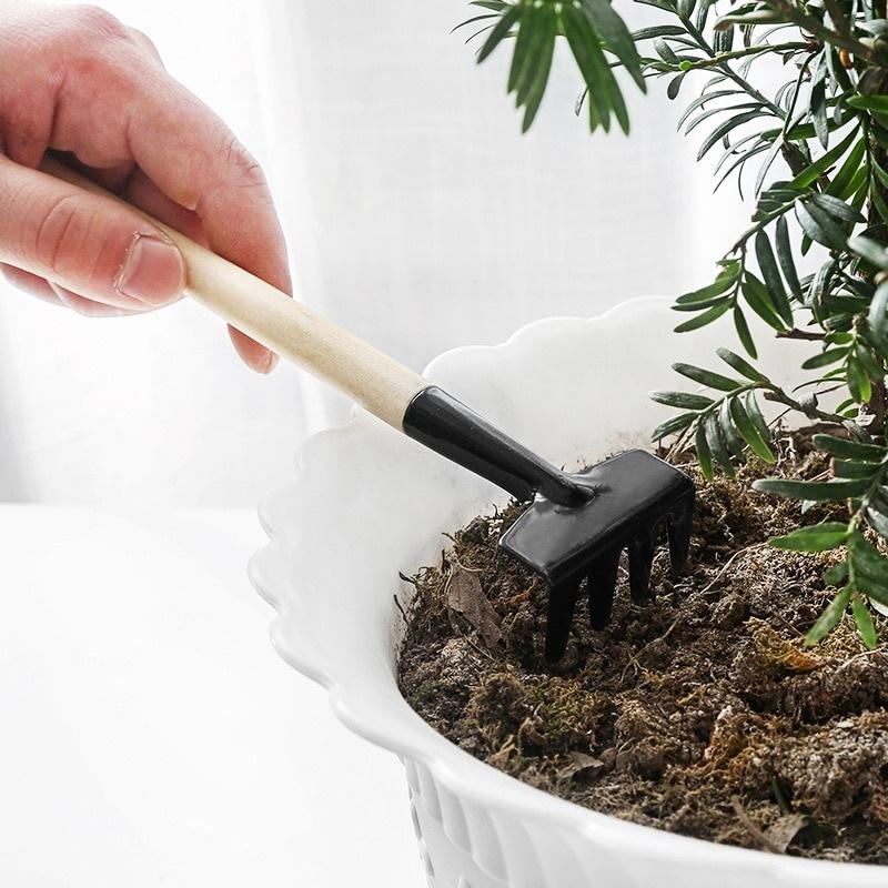 3pcs/Set Mini Gardening Tools Wood Handle Stainless Steel Potted Plants Shovel Rake Spade for Flowers Potted Plant