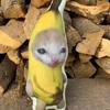 Crying Banana Cat Plush Pendant Cute Banana Cat Doll With Sound Toy Keychain Car Bag Funny Pendant Keyring Gifts