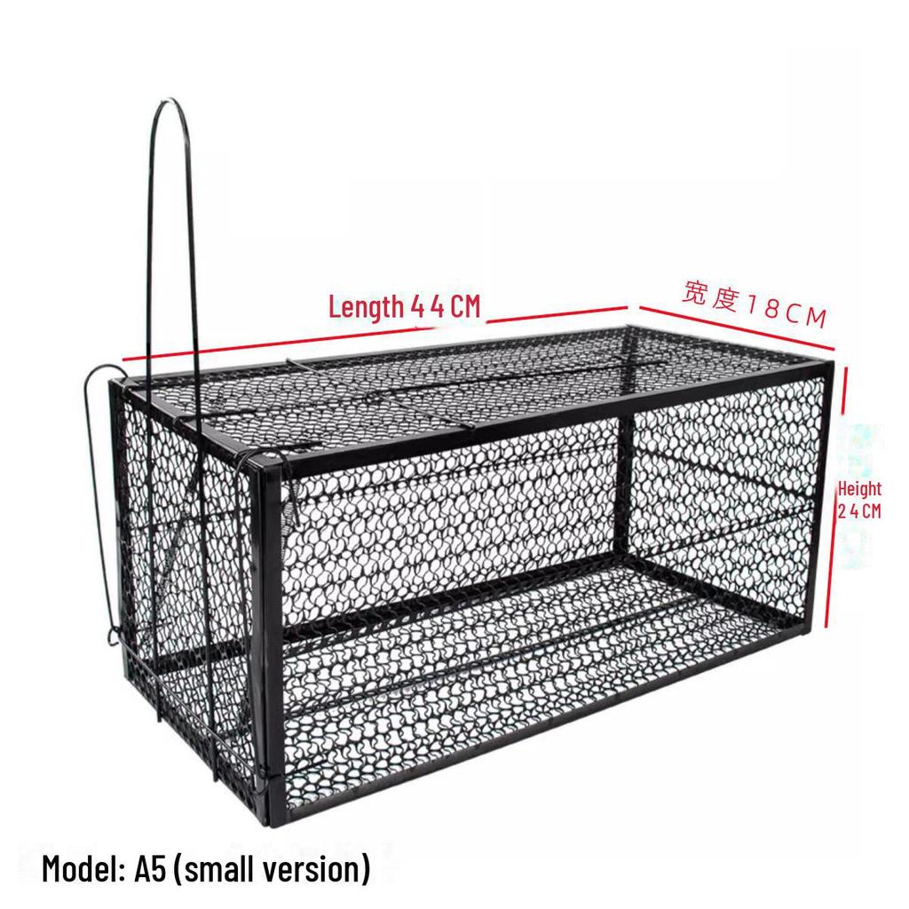 Полностью автоматическая клетка для больших кошек для гуманного спасения