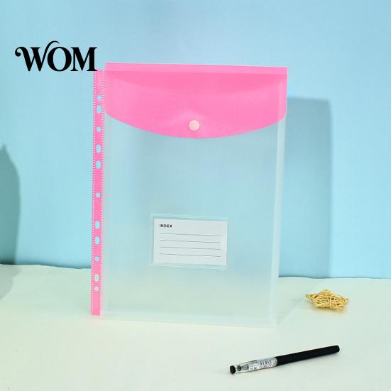 Dustproof Document Holder 11 Hole Binder Pockets for A4 Binders, Plastic Expanding File Folders Organizer with Snap Closure & Transparent Label Slot,