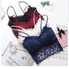 Fashion Solid Color Wrapped Chest Underwear Sexy Women Lace Bra Lady Strap Supply Four Season