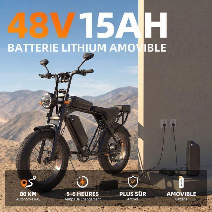 Vélo Électrique Tout Terrain 20" Autonomie 40-70km (Mode ASSIST) Batterie Amovible 48V15Ah vélo à pneus larges 250W Aairsk X5