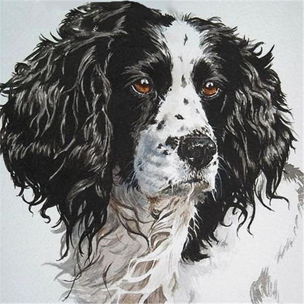 50X50CM 5D алмазная живопись полная квадратная собака Алмазная вышивка животные вышивка крестиком ремесленная художественная распродажа украшение дома