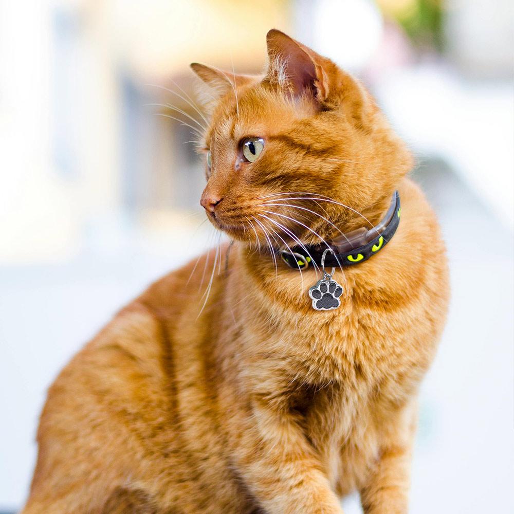 Персонализированные бирки для кошек и собак, бирка для ошейника с принтом лапы собаки, кулон для питомца, блестящая подвеска для питомца, кошки