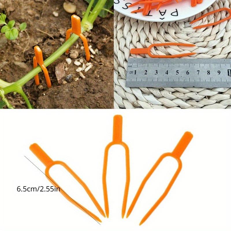 100 шт. Зажим для растений Вилка для клубники Садоводство Пластик Экологичный Оранжевый Прочный Фиксирующий Зажим Инструменты для фиксации растений