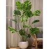 Artificial Indoor Plants & Trees: Monstera, Areca Palm, Jacaranda, Nandina, Rubber Fig - Free Shipping
