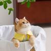 Одежда для питомцев Весна Лето Тонкий Дышащий Жилет Сезон Марионеток Кошка Тедди Бигбер Щенок Кошка Собака Кошка Одежда