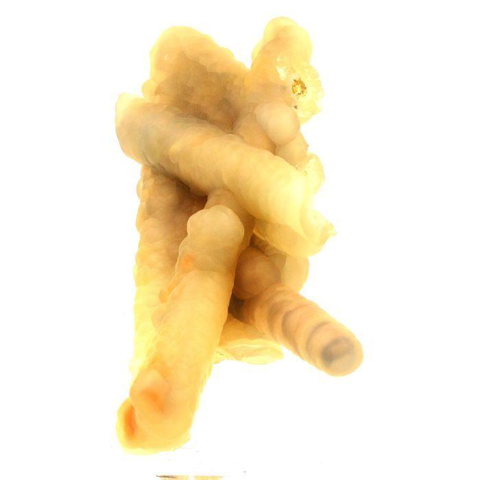 Pierres et Minéraux. Calcédoine. 1581.5 ct. Java, Indonesie.