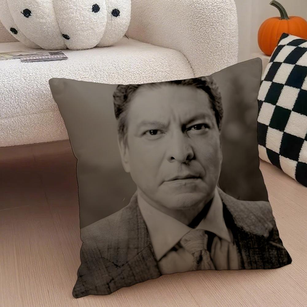 TThomas Rainwater Cushion Cover Throw Pillow Cover Hidden Button Durable Polyester Chair Cushion