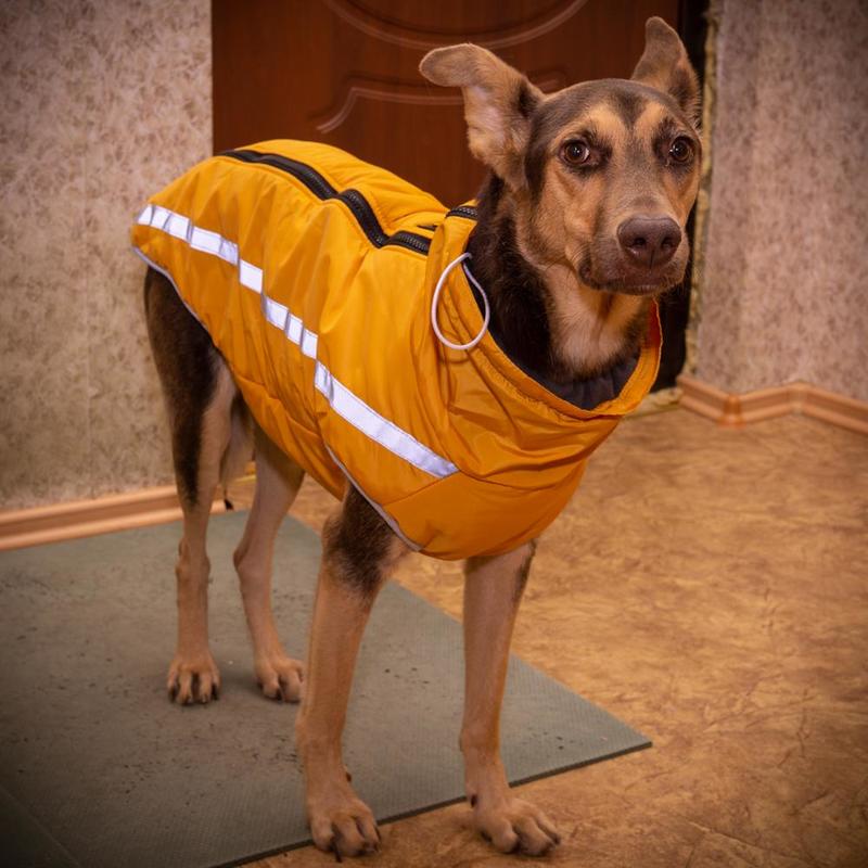 Водонепроницаемая теплая одежда для собак Жилет с мягкой подкладкой Куртка для домашних животных Средняя / большая Зима