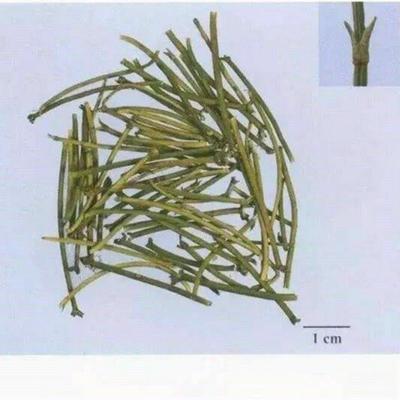 50 г ~ 1,5 кг Травяной чай Зеленый чай Мохуань Натуральный чай Мухуань Сырой травяной чай Мо Хуан