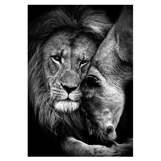 Animals Black And White Lions Love Family Prints Poster Canvas Painting Modern Wall Art Pictures Living Room Bedroom Home Decor