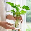 Утолщенные прозрачные стеклянные горшки, стеклянная экологическая стеклянная ваза, гидропонные растения, цветочный горшок, балкон