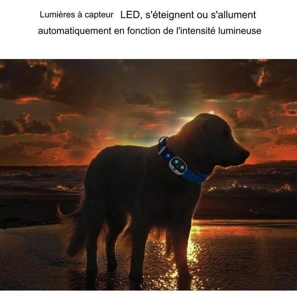 Водонепроницаемый GPS-трекер 4G для отслеживания животных в режиме реального времени