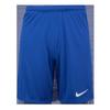 Nike Nike Dry Fit Park 3 Шорты Nbbv6855463