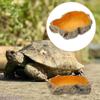 Climbable Reptile Water Bowls Rock Amphibian Feeding Bowl Food Water Bowl Tortoise Water Dish  Frog