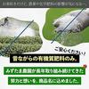Mizutama Farm tea grown without pesticides chemical fertilizers green bags 2.5g50p (pesticide-free fertilizer-free cold brew pack) (Pack Non-Pesticide