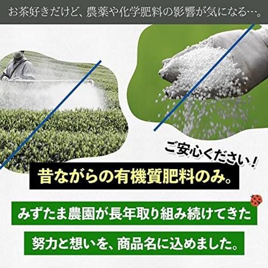 Mizutama Farm tea grown without pesticides chemical fertilizers green bags 2.5g50p (pesticide-free fertilizer-free cold brew pack) (Pack Non-Pesticide