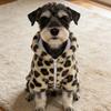 Leopard Print Warm Coat for Small/Medium Dogs: Schnauzer, French Bulldog, Bichon, Teddy
