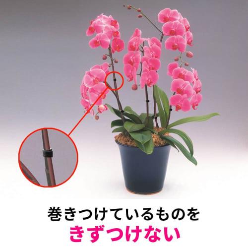 Ремень 3M Binding One-Touch черный 12,7 мм x 3 м 3 рулона (Петля Крепеж Лента Шнур Проводка Намотка) NC-2272R3-3P