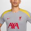 Nike Ливерпуль Dri-Fit FW24 ФК. Футболка-пуловер Strike Third Knit с коротким рукавом, мужская, светло-дымчато-серая FQ2611-078