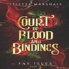 Court of Blood and Bindings by Lisette Marshall Paperback Book 9789083256887