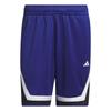 Pro Block Logo Повседневные Простые Универсальные Свободные Быстросохнущие Баскетбольные Шорты Мужские шорты Victory-Blue Black IX1839