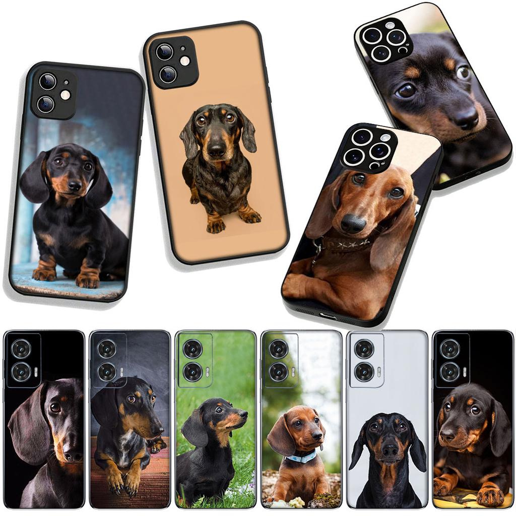 Чехол для телефона Животное Милый Такса Собака Чехол для Apple iPhone 17 16 11 Pro XS Max XR 6 7 8 Plus + 16E SE 2020 Air 5 8+ Чехол