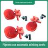 Pigeon Automatic Drinking Bowl for Chicks, Quails, Chickens, Ducks, and Geese