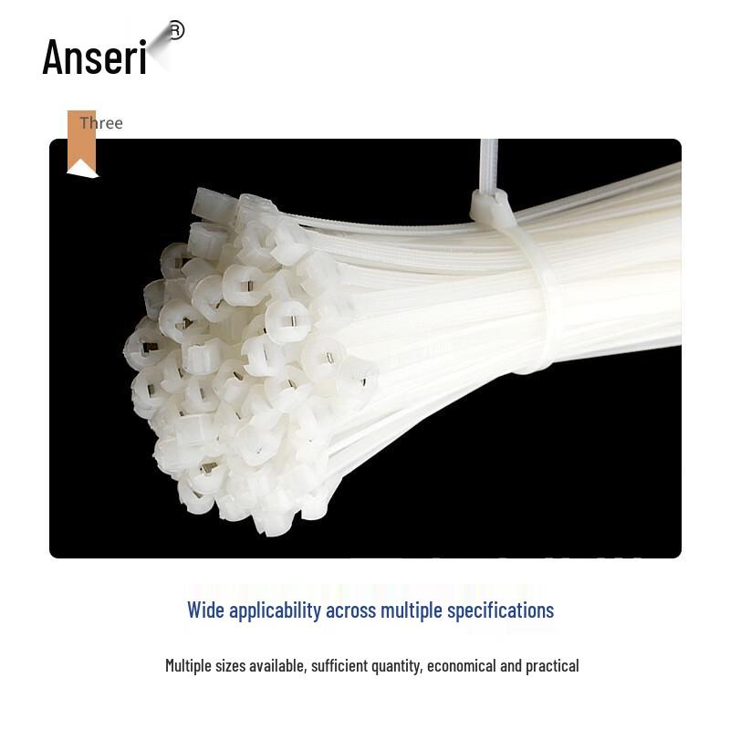 Ansairui Nylon Stainless Steel Marine Cable Ties