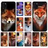 Cute Fox In Autumn Leaves Fores Phone Case for Samsung A 51 30s 71 21s 10 70 31 52 12 30 40 32 11 20e 20s 01 02s 72 Cover