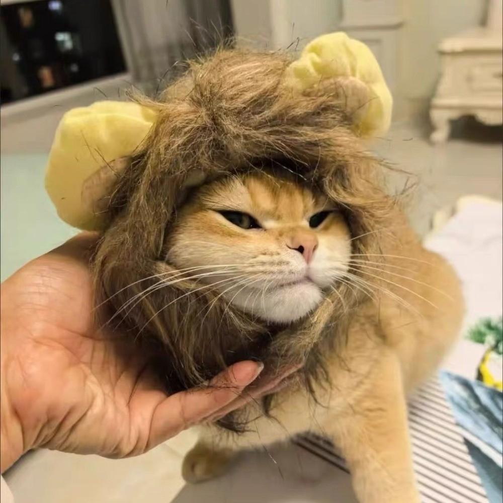 Breathable Lion Mane Wig Cap Hat Fluffy Pet Costume Comfortable Fit Dog Cat Wig Hat Cosplay