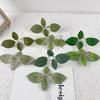 Прямые продажи Имитация листьев Шелкография Четырехлучевые листья розы Зеленые аксессуары для растений Настенная ручка Набор Декоративные зеленые листья растений