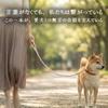 KAWAPET Поводок для собаки Ручная работа от Gentle по грузоподъемности Подходит для и Очень маленьких Ночной Цинк Стильный Длина 150 см Ширина - Ремесленники, Рука,