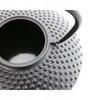 Cast Iron Kettle 1.25L Infuser With Strainer For Brewing Tea And Herbs