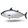 Amuse Ocean World Bonito Big Plush 80cm 704326 Toy, Black, Approx. Long,