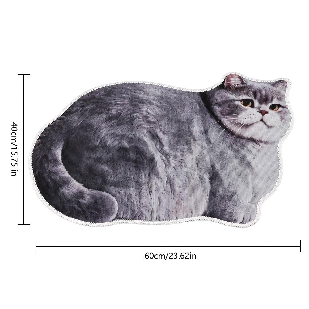 Ginger Cat Bathroom Carpet Russian Blue Floor Mat Entrance Carpet Living Room Tea Table Bedside